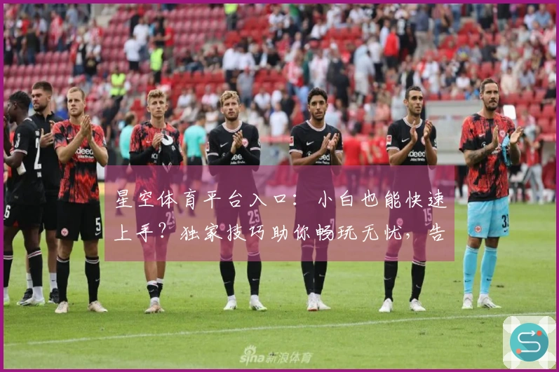星空体育平台入口：小白也能快速上手？独家技巧助你畅玩无忧，告别新手期！